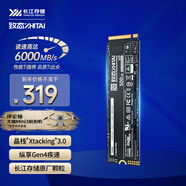 致态（ZhiTai）长江存储 500GB SSD固态硬盘 NVMe M.2接口 Ti600系列 (PCIe 4.0 产品)